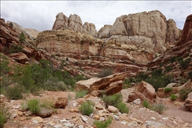 Capitol Reef NP